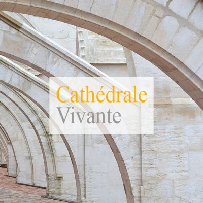 CATHEDRALE DE VIENNE