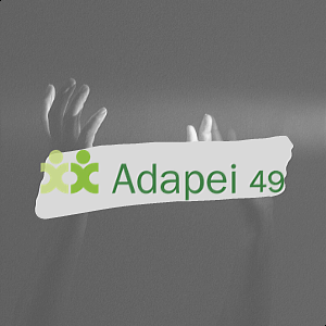Logociel VGP - ADAPEI 49