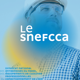 LE SNEFCCA