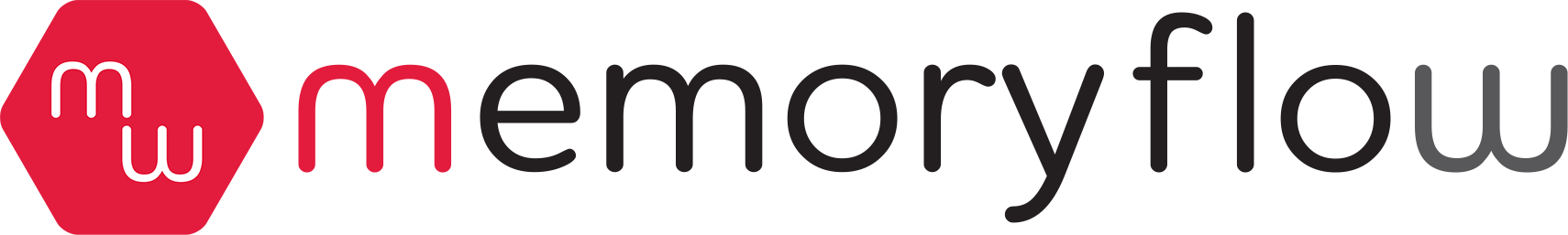 Memory Flow_logo