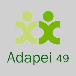 logiciel QSE Adapei 49